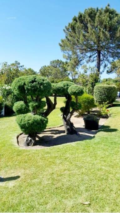 Victory Village Club,Quinta Do Lago Лоле Экстерьер фото